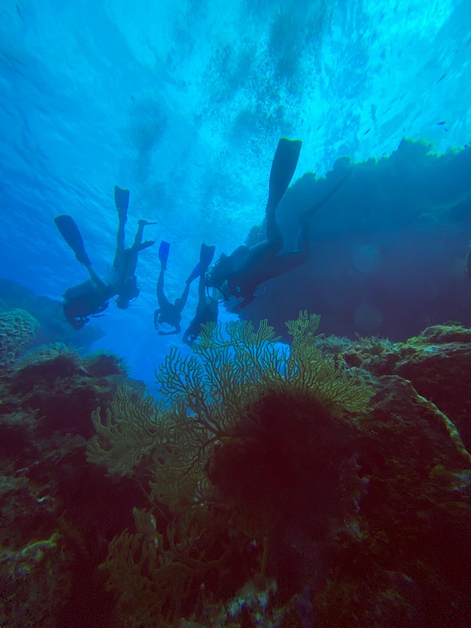 Let’s talk about&nbsp;Cozumel!